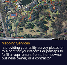 mapping services